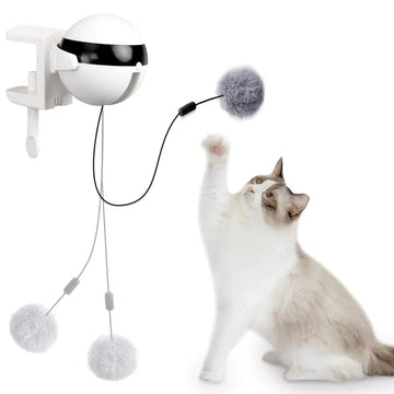 Cat Toys