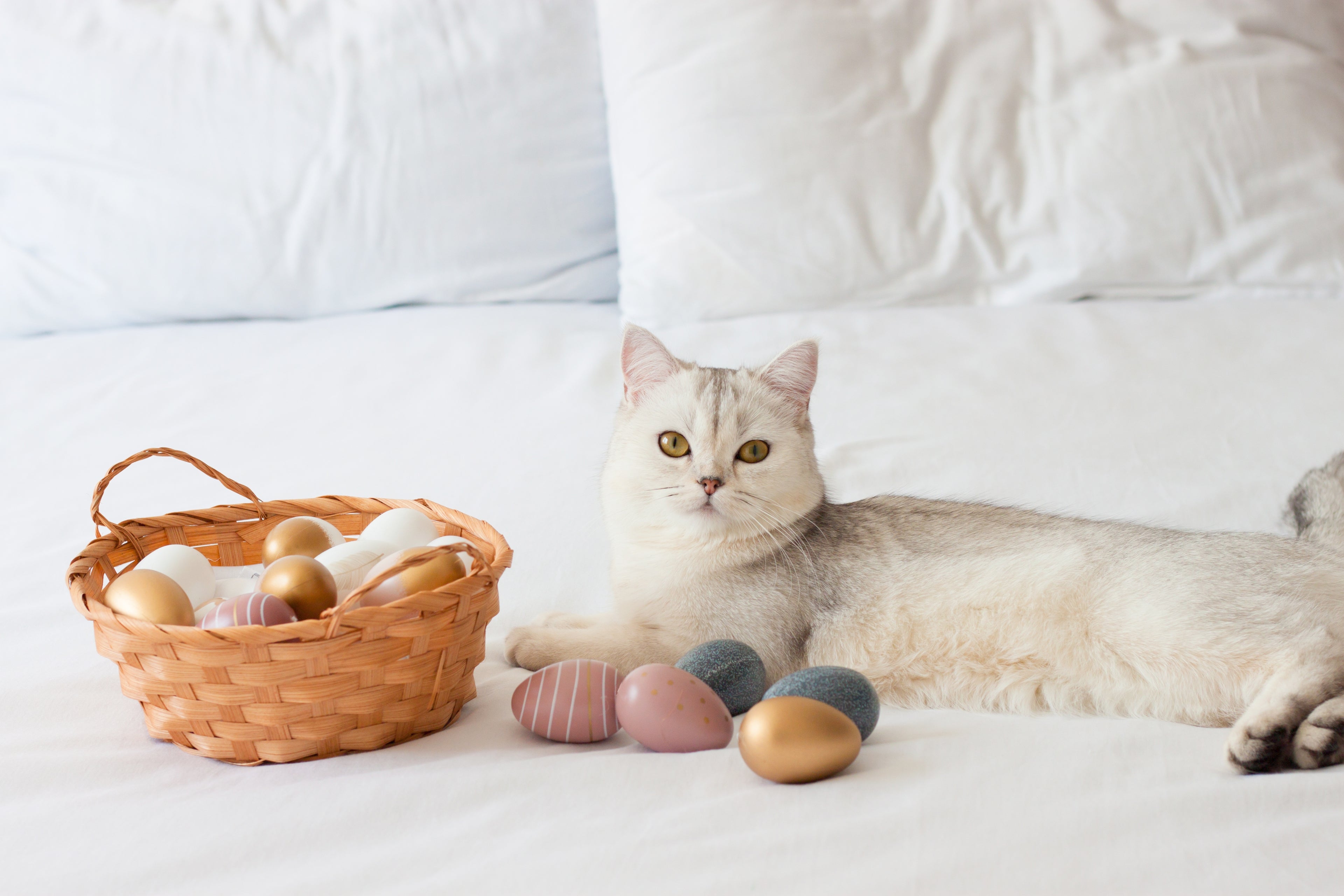 slider image 1621243260e1af0c20-1