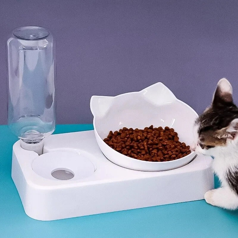 Dual-Purpose Tilted Pet Bowl