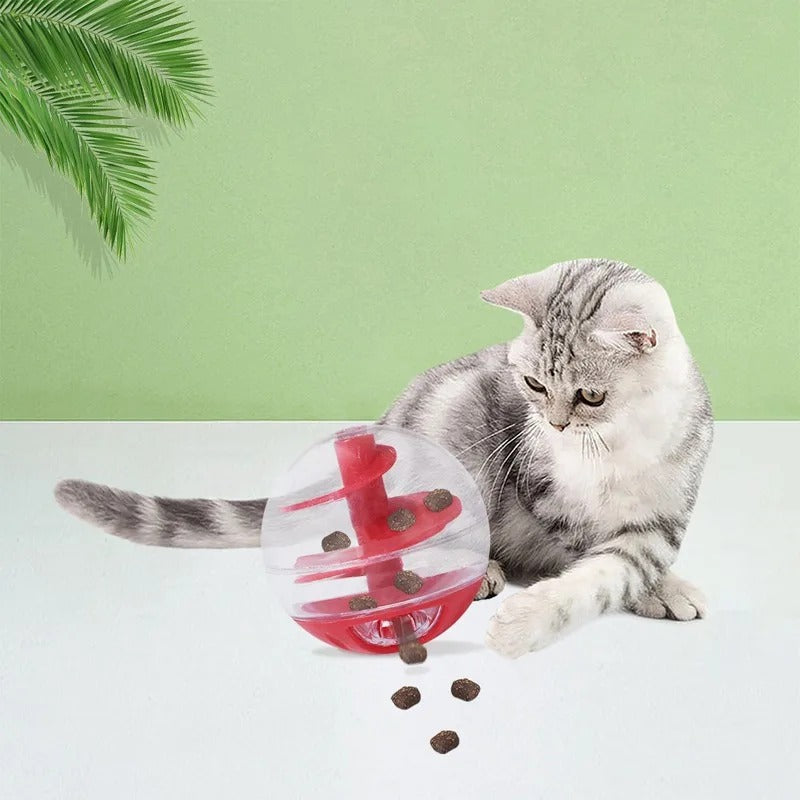 Cat Lick Eating Spiral Ball