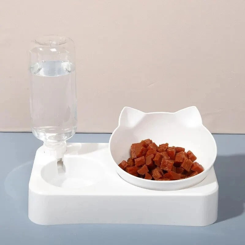 Dual-Purpose Tilted Pet Bowl